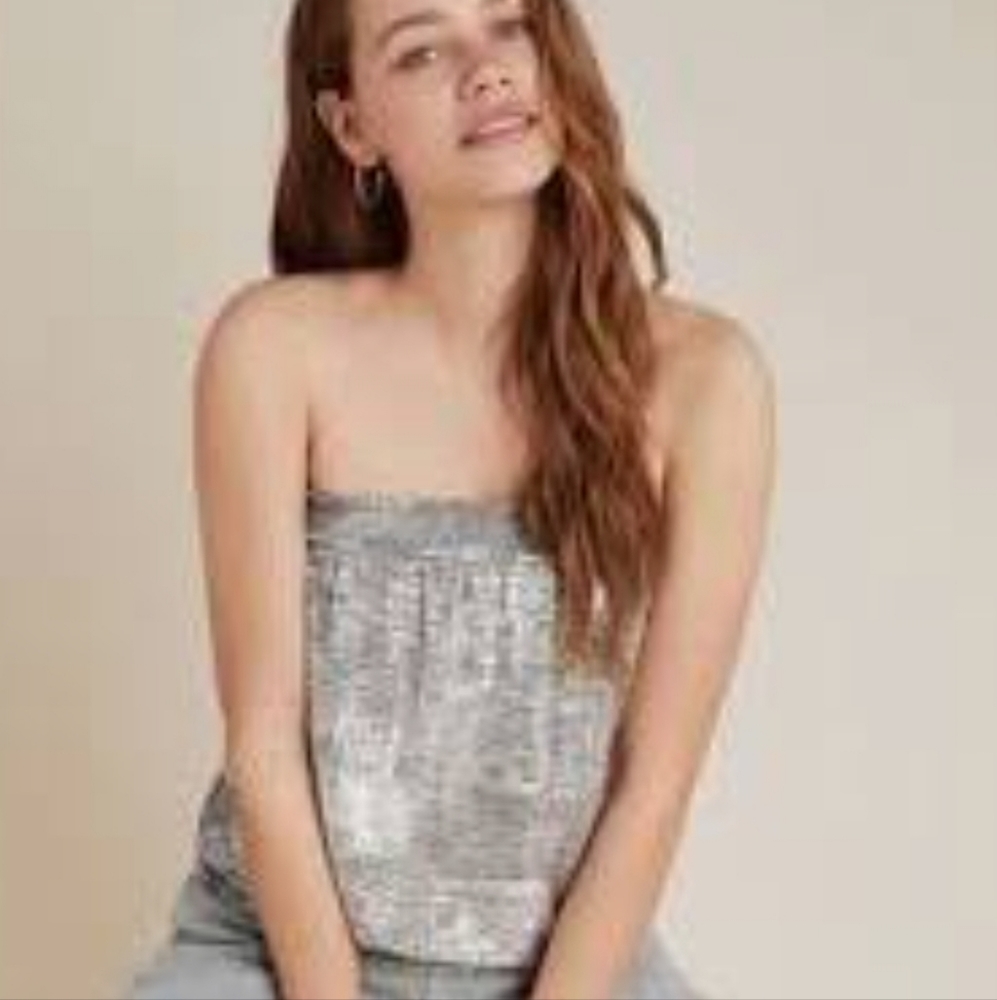 Anthropologie Silver Tube Top M NWT